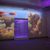 Проекционный дизайн "Виртуальная реальность" базовый комплект 500 анимаций - «globural.ru» - Набережные Челны