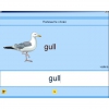 Английский язык. Освоение клавиатуры - «globural.ru» - Набережные Челны