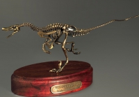 Модель скелета динозавра Velociraptor - «globural.ru» - Набережные Челны