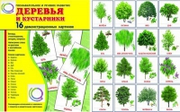 Демонстрационные карточки "Деревья и кустарники" - «globural.ru» - Набережные Челны