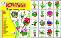 Демонстрационные карточки "Комнатные растения" - «globural.ru» - Набережные Челны