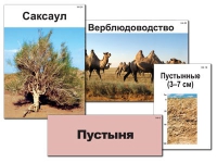 Модель-аппликация "Природные зоны России" - «globural.ru» - Набережные Челны
