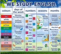 Стенд "We study english" - «globural.ru» - Набережные Челны