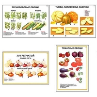 Плакаты ПРОФТЕХ "Ассортимент овощных культур" (12 пл, винил, 70х100) - «globural.ru» - Набережные Челны