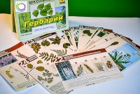 Гербарий к курсу основ общей биологии - «globural.ru» - Набережные Челны