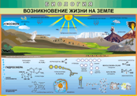 Таблица Возникновение жизни на Земле 1000*1400 винил - «globural.ru» - Набережные Челны