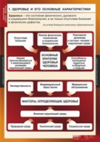 ОБЖ Здоровый образ жизни (комплект таблиц) - «globural.ru» - Набережные Челны