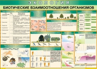 Таблица Биотические взаимоотношения организмов 1000*700 (винил) - «globural.ru» - Набережные Челны