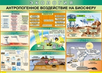 Таблица Антропогенное воздействие на биосферу 1000*700 винил - «globural.ru» - Набережные Челны
