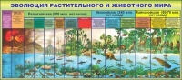 Стенд "Эволюция растительного и животного мира" - «globural.ru» - Набережные Челны