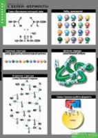 Биология. Химия клетки (комплект таблиц) - «globural.ru» - Набережные Челны