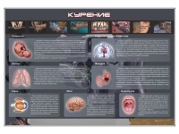 Стенд "Курение" (вариант 1) - «globural.ru» - Набережные Челны