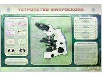 Электрифицированный стенд "Устройство микроскопа и правила работы c ним" - «globural.ru» - Набережные Челны
