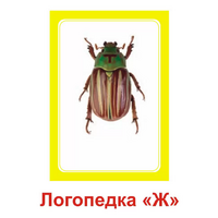 Логопедка "Ж" (логопедические карточки) - «globural.ru» - Набережные Челны