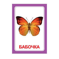 Логопедка "Ч" (логопедические карточки) - «globural.ru» - Набережные Челны