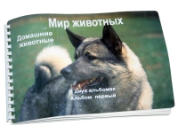Пособие для слабовидящих "Домашние животные" - «globural.ru» - Набережные Челны