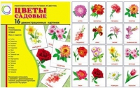 Демонстрационные карточки "Цветы садовые" - «globural.ru» - Набережные Челны