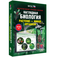 Наглядная биология. Растение - живой организм - «globural.ru» - Набережные Челны