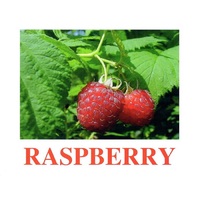 "Berries-1" ("Ягоды-1") английские карточки Домана - «globural.ru» - Набережные Челны