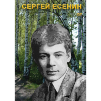 DVD Сергей Есенин - «globural.ru» - Набережные Челны