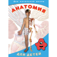 DVD  Анатомия для детей - «globural.ru» - Набережные Челны