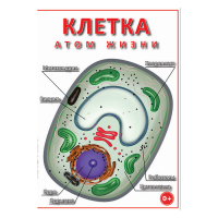 DVD Клетка - "атом жизни" - «globural.ru» - Набережные Челны