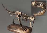 Модель скелета динозавра Tyrannosaurus - «globural.ru» - Набережные Челны
