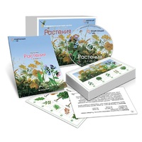 Комбинированное наглядное пособие «Растения» - «globural.ru» - Набережные Челны