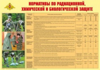 Плакат "Нормативы по радиационной, химической и биологической защите" - «globural.ru» - Набережные Челны