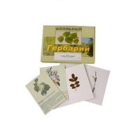 Гербарий "Деревья и кустарники" (22 вида, с иллюстрациями) - «globural.ru» - Набережные Челны
