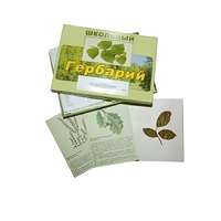 Гербарий "Дикорастущие растения" (30 видов, с иллюстрациями) - «globural.ru» - Набережные Челны