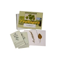 Гербарий "Лекарственные растения" (22 вида, с иллюстрациями) - «globural.ru» - Набережные Челны