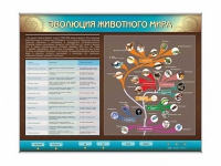 Интерактивный электрифицированный стенд "Эволюция животного мира" - «globural.ru» - Набережные Челны