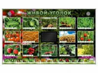 Комплект оборудования "Живой уголок" (растения) - «globural.ru» - Набережные Челны