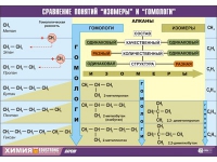 Таблица демонстрационная "Сравнение понятий изомер и гомолог" (винил 70x100) - «globural.ru» - Набережные Челны