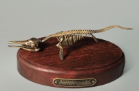 Модель скелета ихтиозавра Ichthyosaurus - «globural.ru» - Набережные Челны