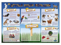 Стенд-уголок "Друзья наши меньшие" - «globural.ru» - Набережные Челны