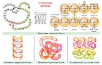 Плакаты и таблицы по общей химии - «globural.ru» - Набережные Челны