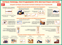  Таблица Общий порядок оказания первой помощи пострадавшим 1000*1400 винил	 - «globural.ru» - Набережные Челны