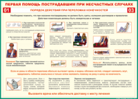 Таблица Порядок действий при переломах конечностей 1000*1400 винил - «globural.ru» - Набережные Челны