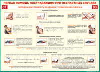 Таблица Порядок действий при ранениях и термических ожогах	 1000*1400 винил - «globural.ru» - Набережные Челны