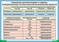 Химия. Сравнение понятий изомер и гомолог. Функциональные группы классов органических веществ (винил) - «globural.ru» - Набережные Челны
