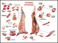 Правила разделки мясных туш "Баранина и ягнятина" 1000*1400 винил - «globural.ru» - Набережные Челны