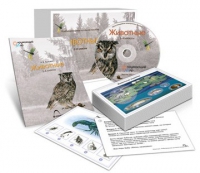 Комбинированное наглядное пособие «Животные» - «globural.ru» - Набережные Челны