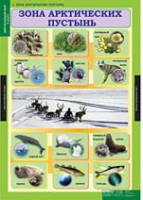 Окружающий мир 4 класс (комплект таблиц) - «globural.ru» - Набережные Челны