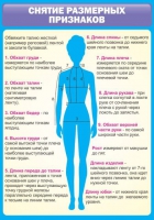 Стенд "Снятие мерок" (вариант 2) - «globural.ru» - Набережные Челны