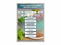 Стенд "Схема приготовления мясных котлет" - «globural.ru» - Набережные Челны
