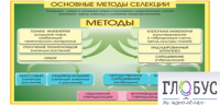 Стенд "Методы селекции и биотехнологии" - «globural.ru» - Набережные Челны