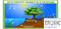 Стенд "Круговорот веществ" - «globural.ru» - Набережные Челны