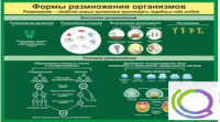 Стенд "Формы размножения организмов" - «globural.ru» - Набережные Челны